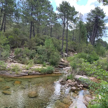 Chez Geraldine Piscine Chauffee, Proche Et Riviere Lecci